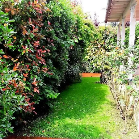 Villa Rita *